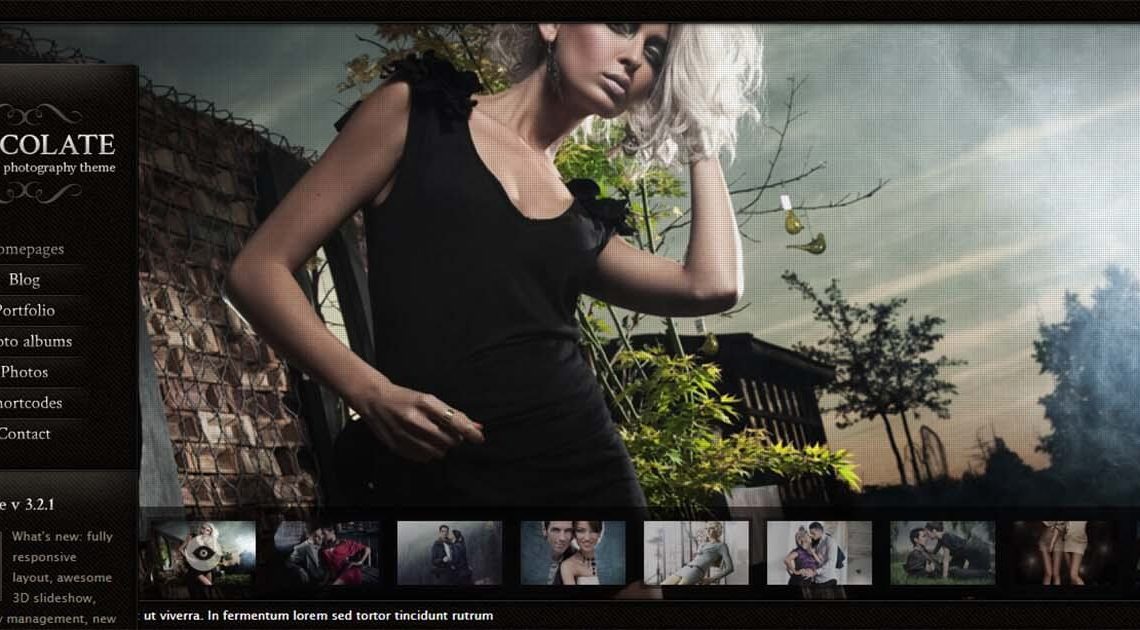 20 Best WordPress Photography Themes That Everyone Will Love