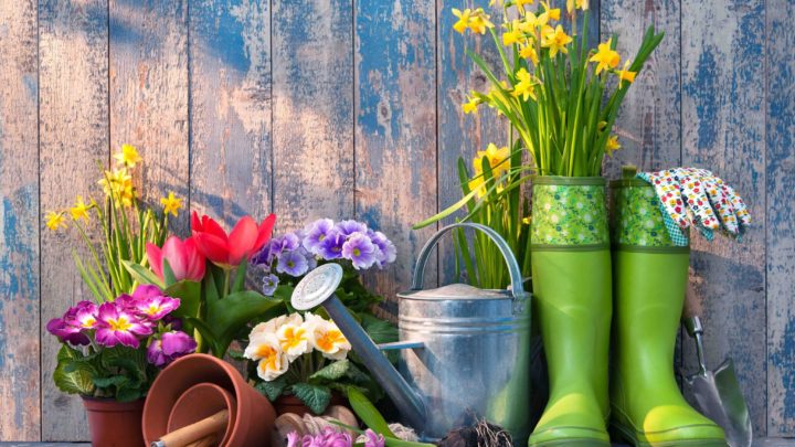 What Do You Need to Know to Prepare Your Garden