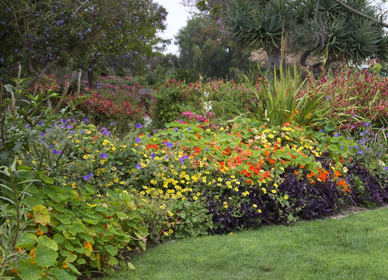 Brilliant Garden Design Ideas