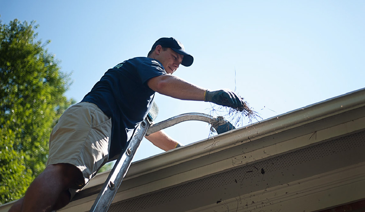 5 Benefits Of Hiring Professional Gutter Cleaning Services 2020 Guide BrandFuge