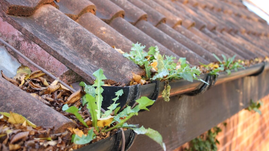5 Benefits Of Hiring Professional Gutter Cleaning Services – 2020 Guide