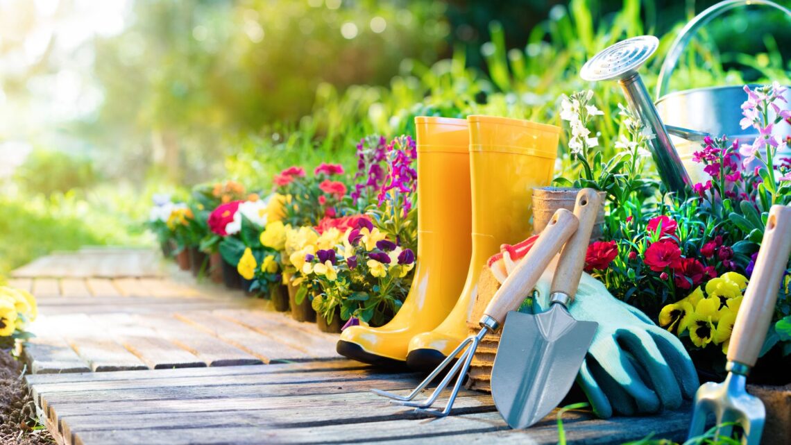 Gardening Tips And Tricks Every Beginner Should Know