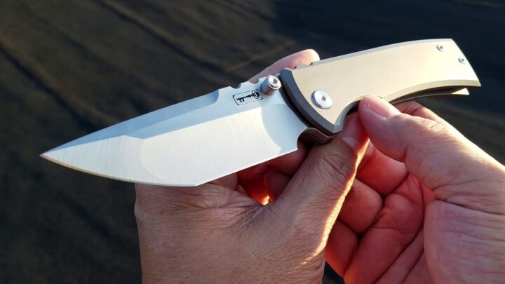 Chaves Knives: The Best Heavy-Duty Knives for Your Money